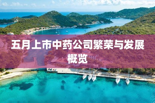五月上市中藥公司繁榮與發展概覽